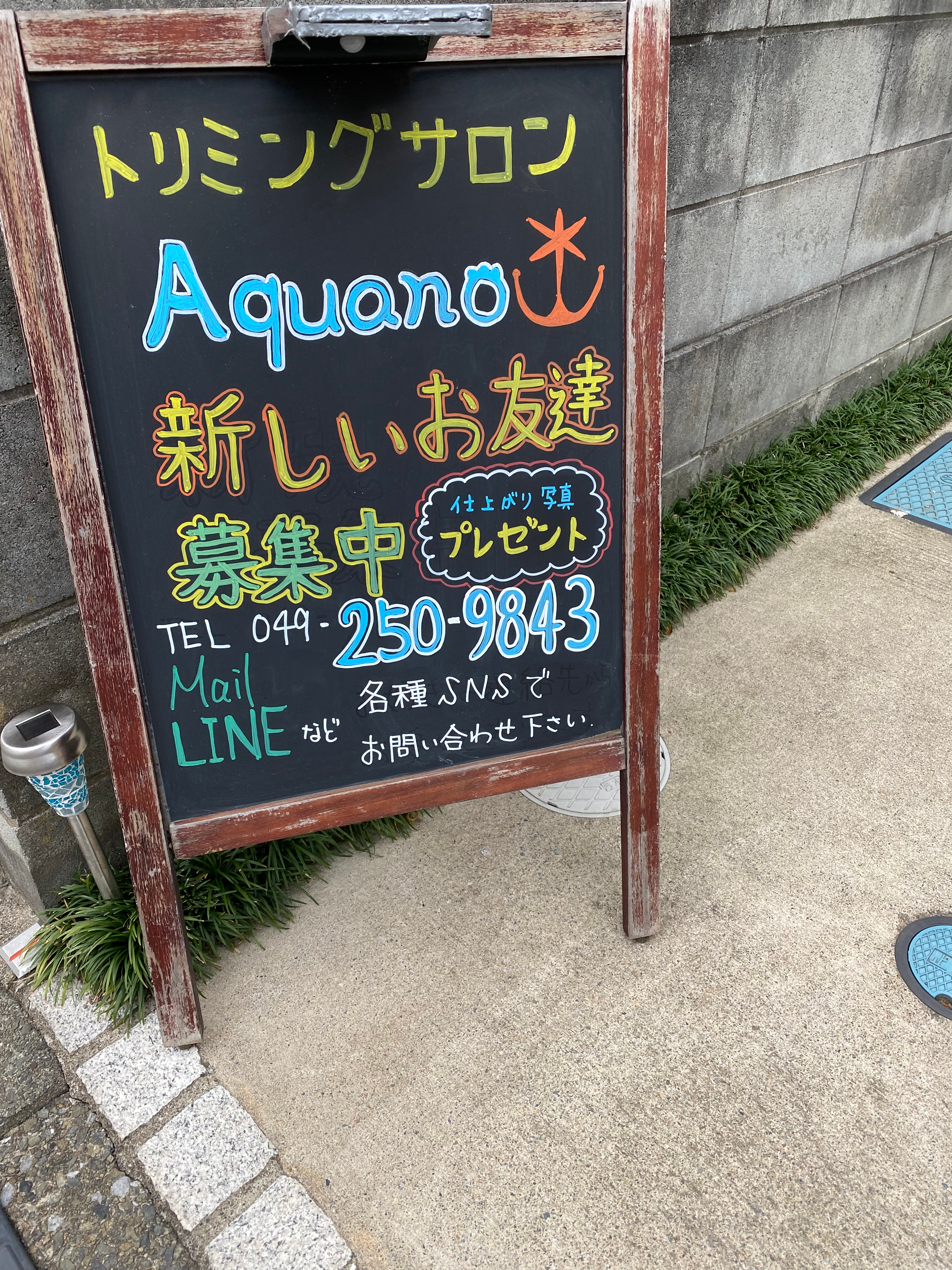 更新しました!!