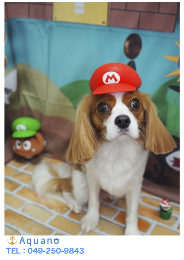あっという間に