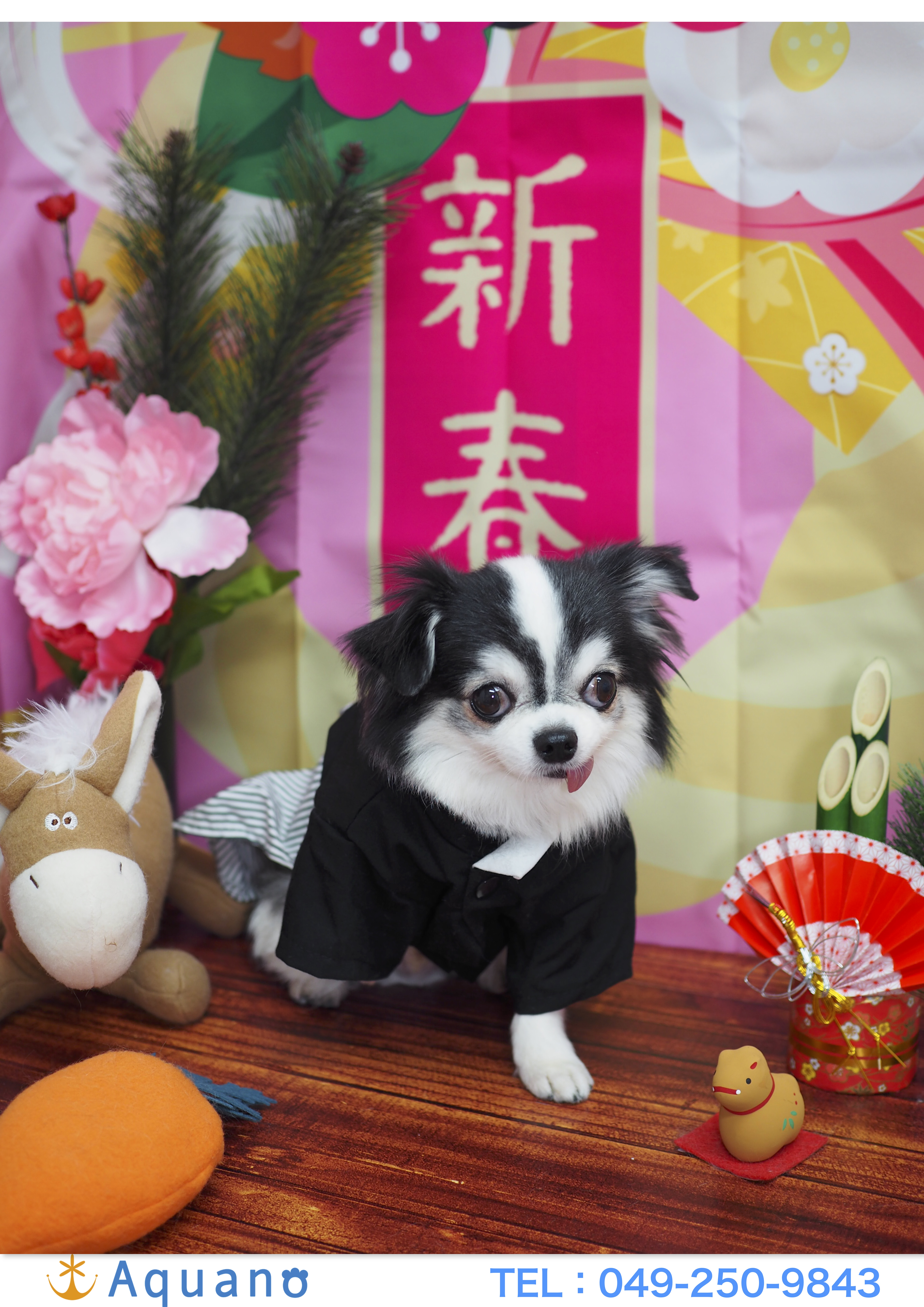 「年内ご予約あとわずかです & ちょっとしたお知らせ」