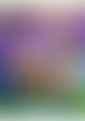 GWの運動不足解消?娘の発表会と久しぶりのフットサル⚽