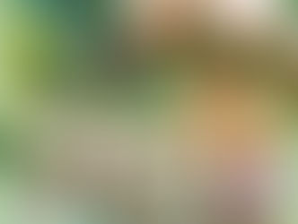 ペットと楽しめるお祭り