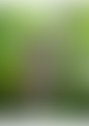 少しずつ春に🌸＆体のメンテナンスと料金改定のお知らせ