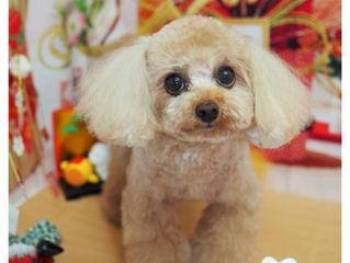 急に冷えてませんか?