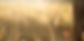 _edited.jpg