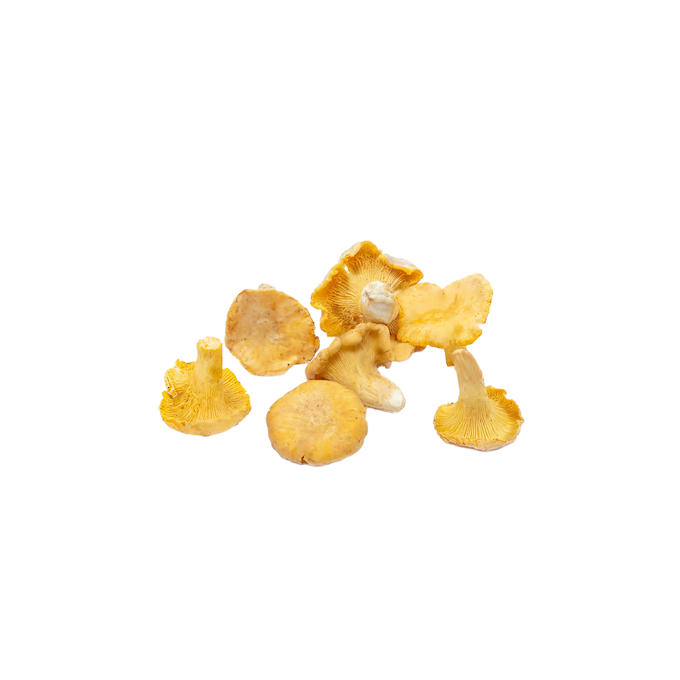 Grade A Golden Chanterelle (Fresh/Dried)