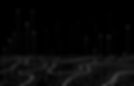 Signal_BG_Short_Transparent.jpg