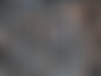 A New Architecture: What Nature Can Teach Us About Building