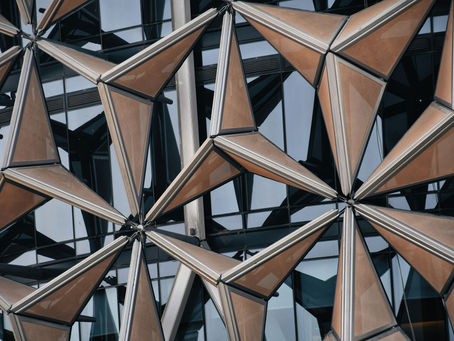 A New Architecture: What Nature Can Teach Us About Building