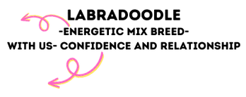 DOODLE EOFIE_.png