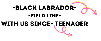 BLACL LAB.png