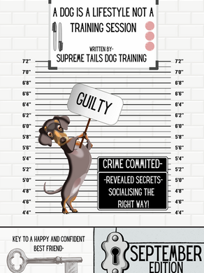 SOCIALISING THE RIGHT WAY / SEPTEMBER EDITION