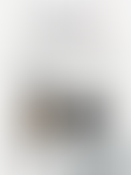 WHY ALL DOGS HATE OCTOBER / OCTOBER EDITION