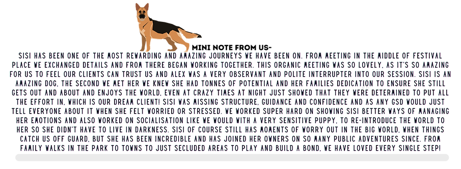 GSDDDDD.png
