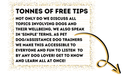 Copy of book your perfect bundle now!.png