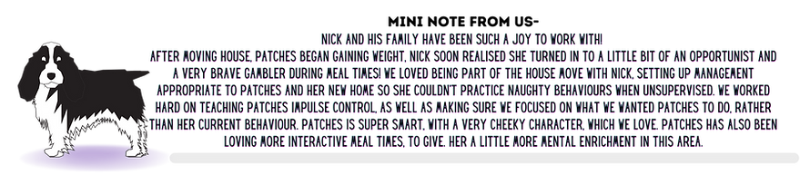NICKI PATCH.png
