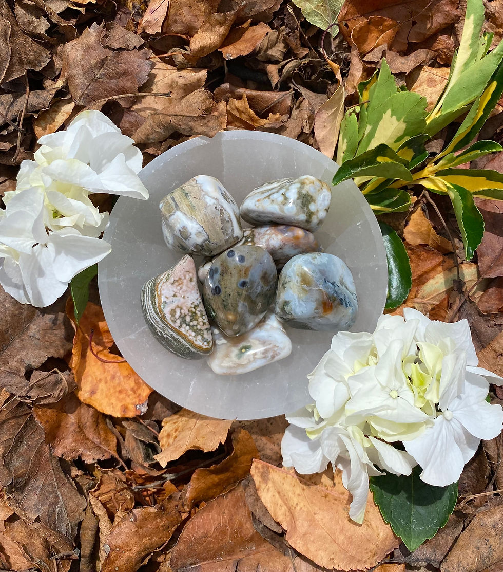 Thumbnail: Ocean Jasper Large Tumble Stone
