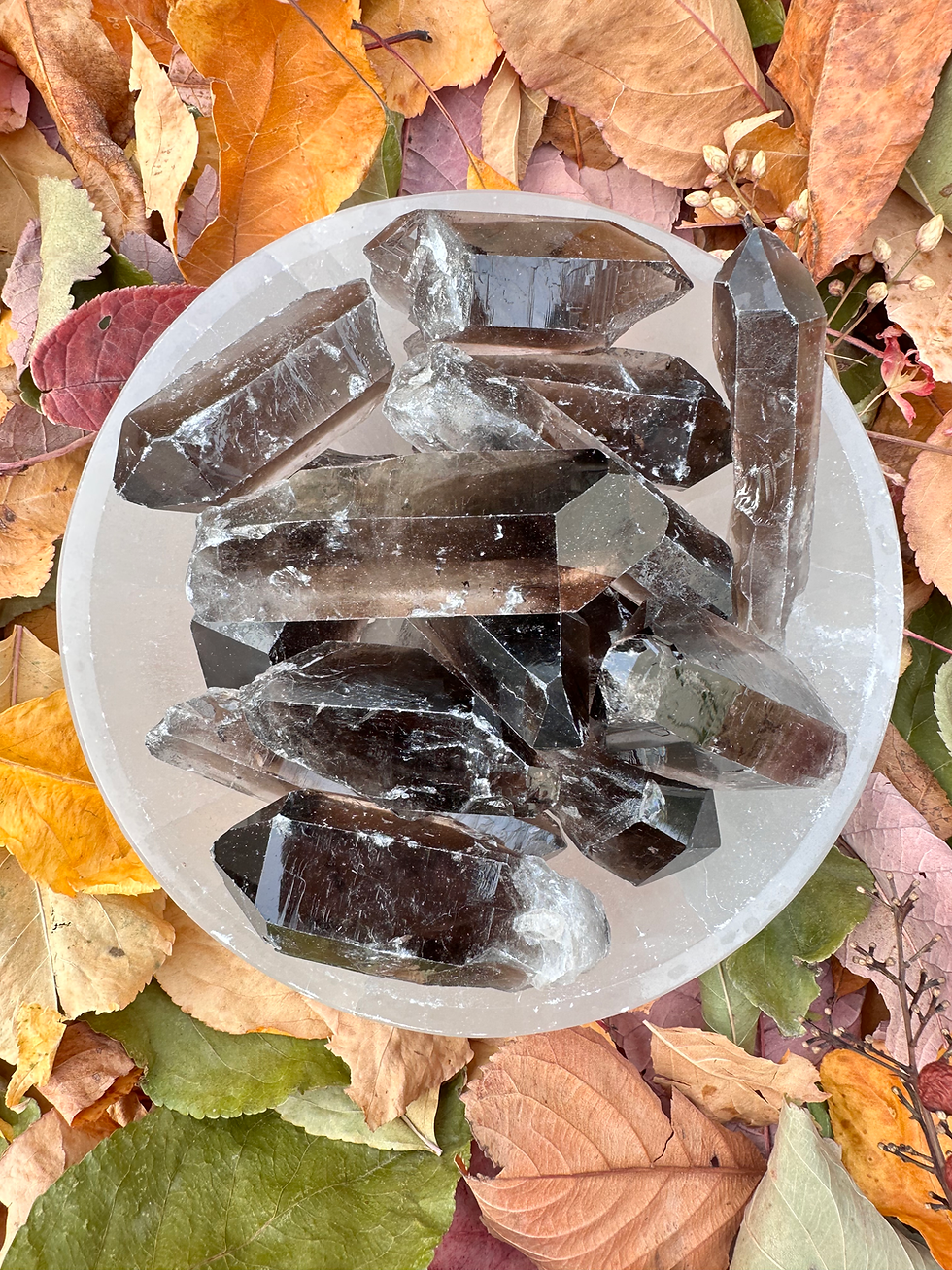 Thumbnail: Smoky Quartz Large Points