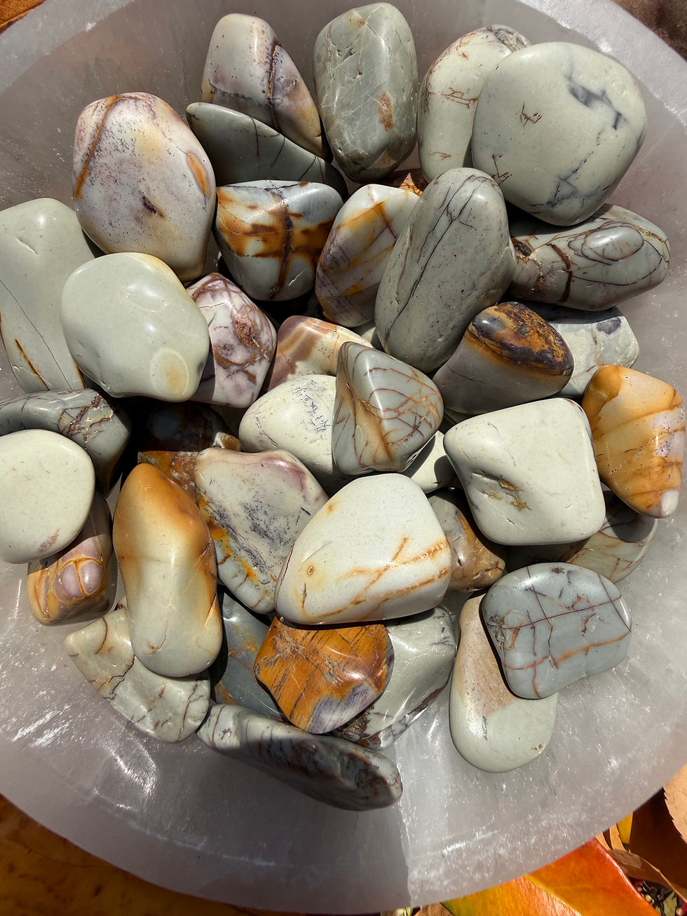 Thumbnail: Polychrome Jasper Tumbled
