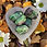 Thumbnail: Ruby in Zoisite Large Tumble Stone