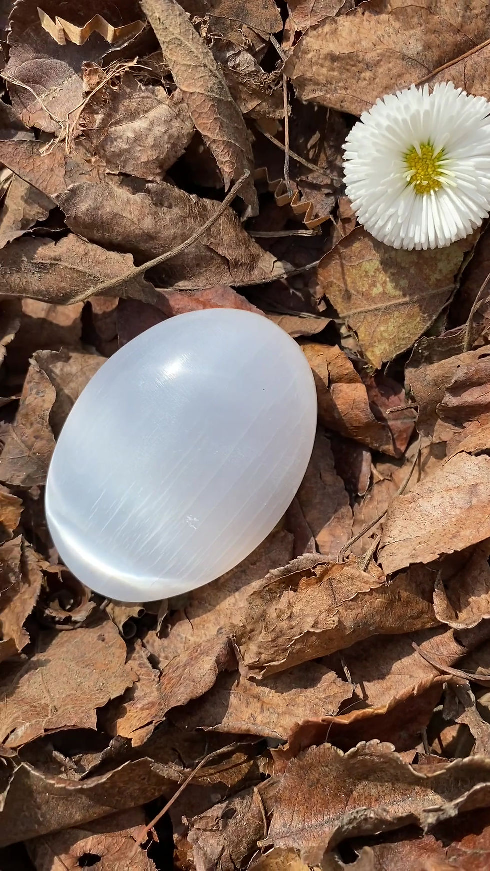 Thumbnail: Selenite Palm Stone