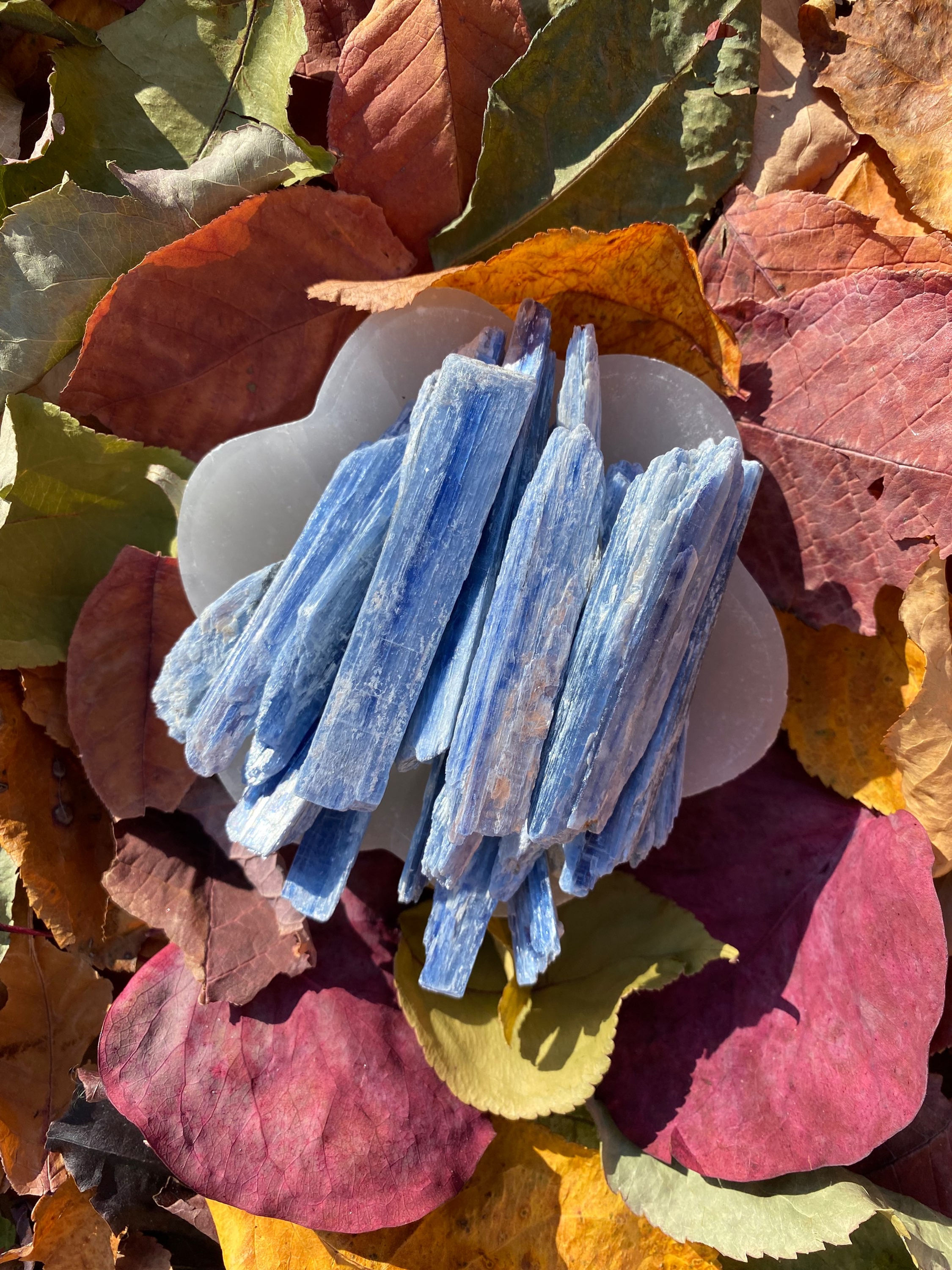 Kyanite Medium Blade