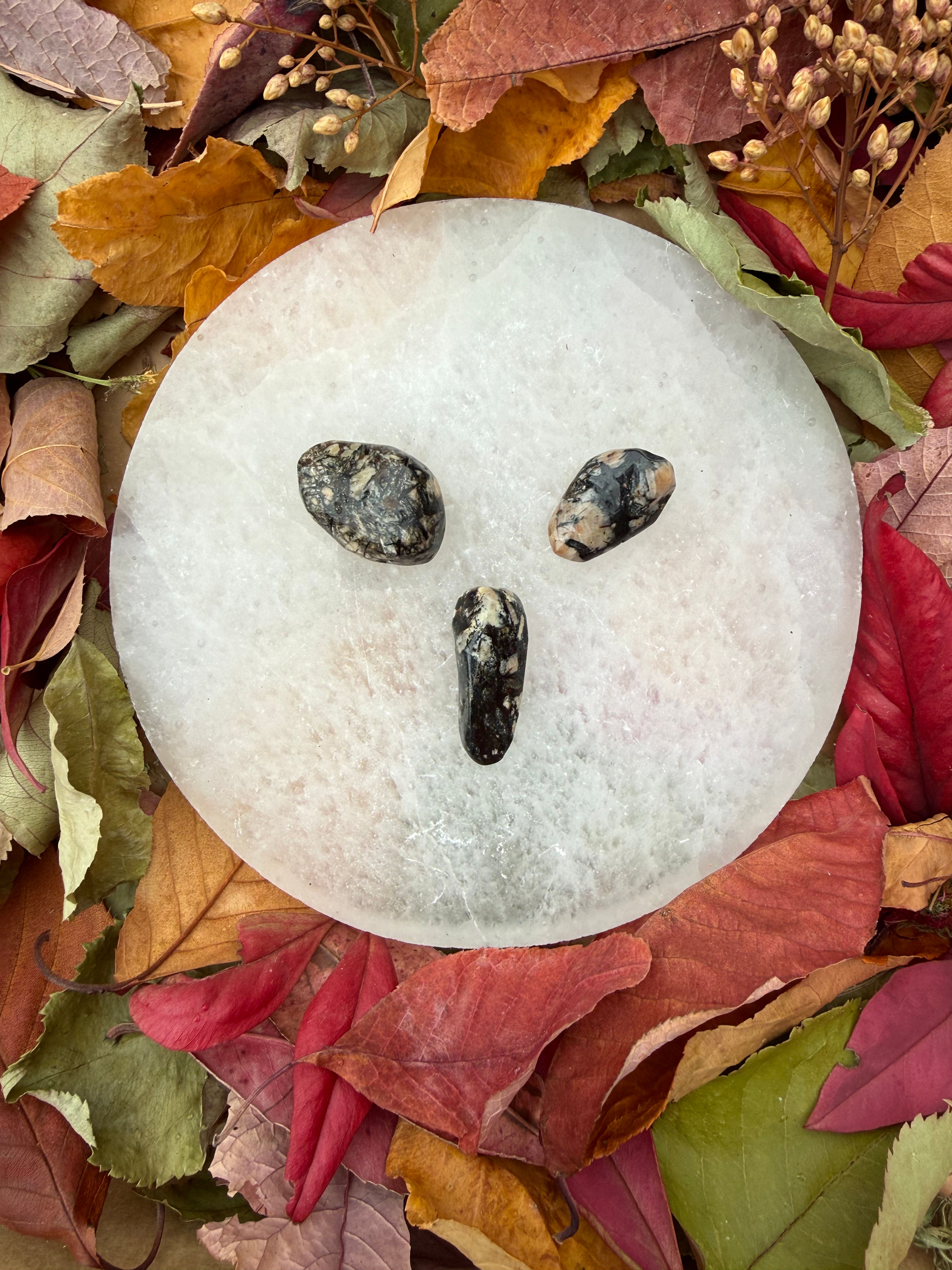 Astrophyllite (Russia)