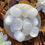 Thumbnail: Selenite Tumbled Stone