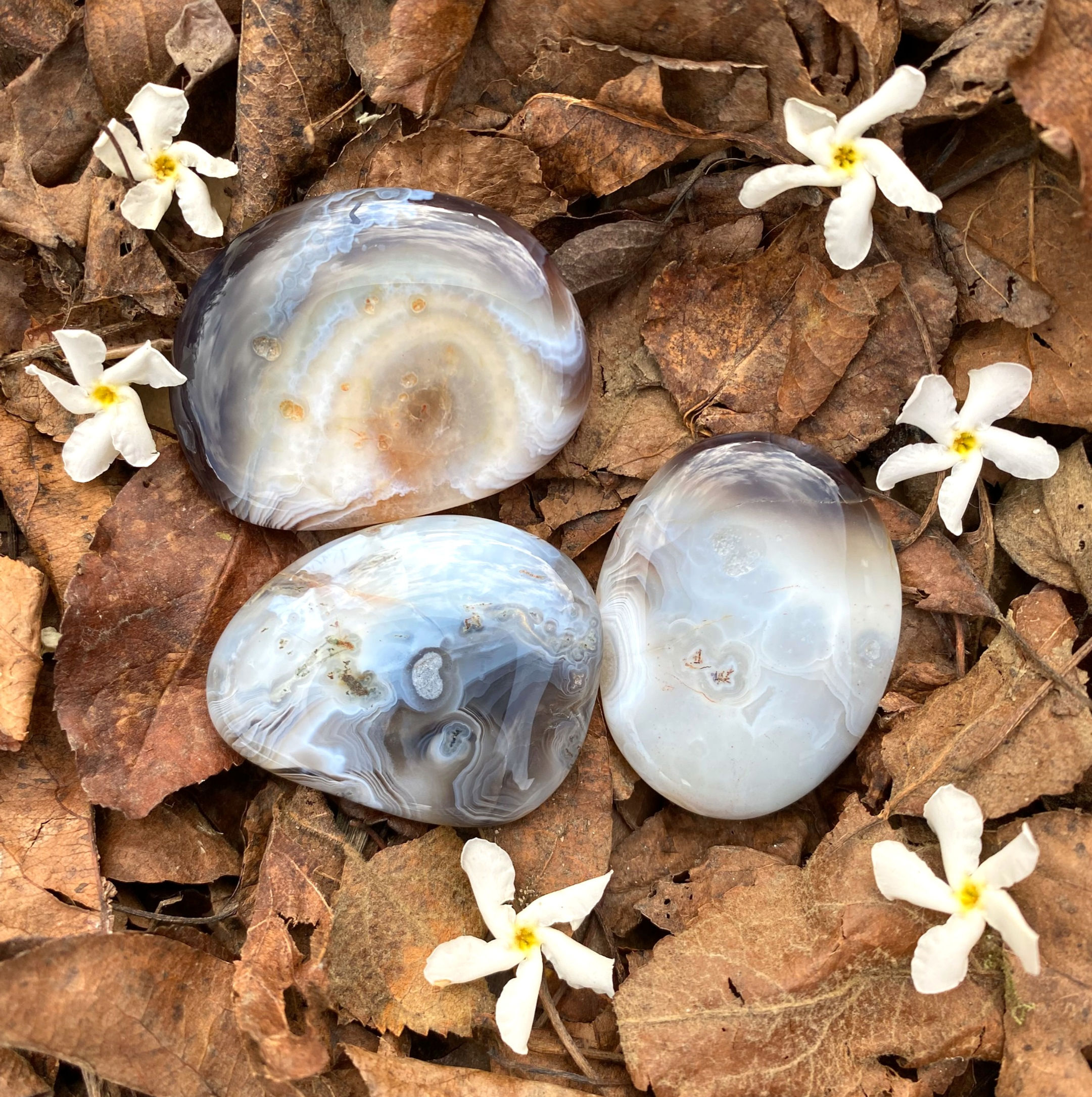 Botswana Agate Palm Stone