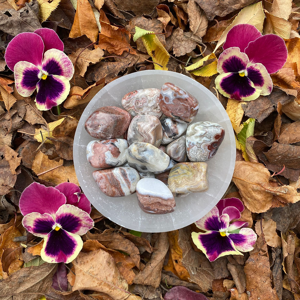 Thumbnail: Crazy Lace Agate Tumbled Stone