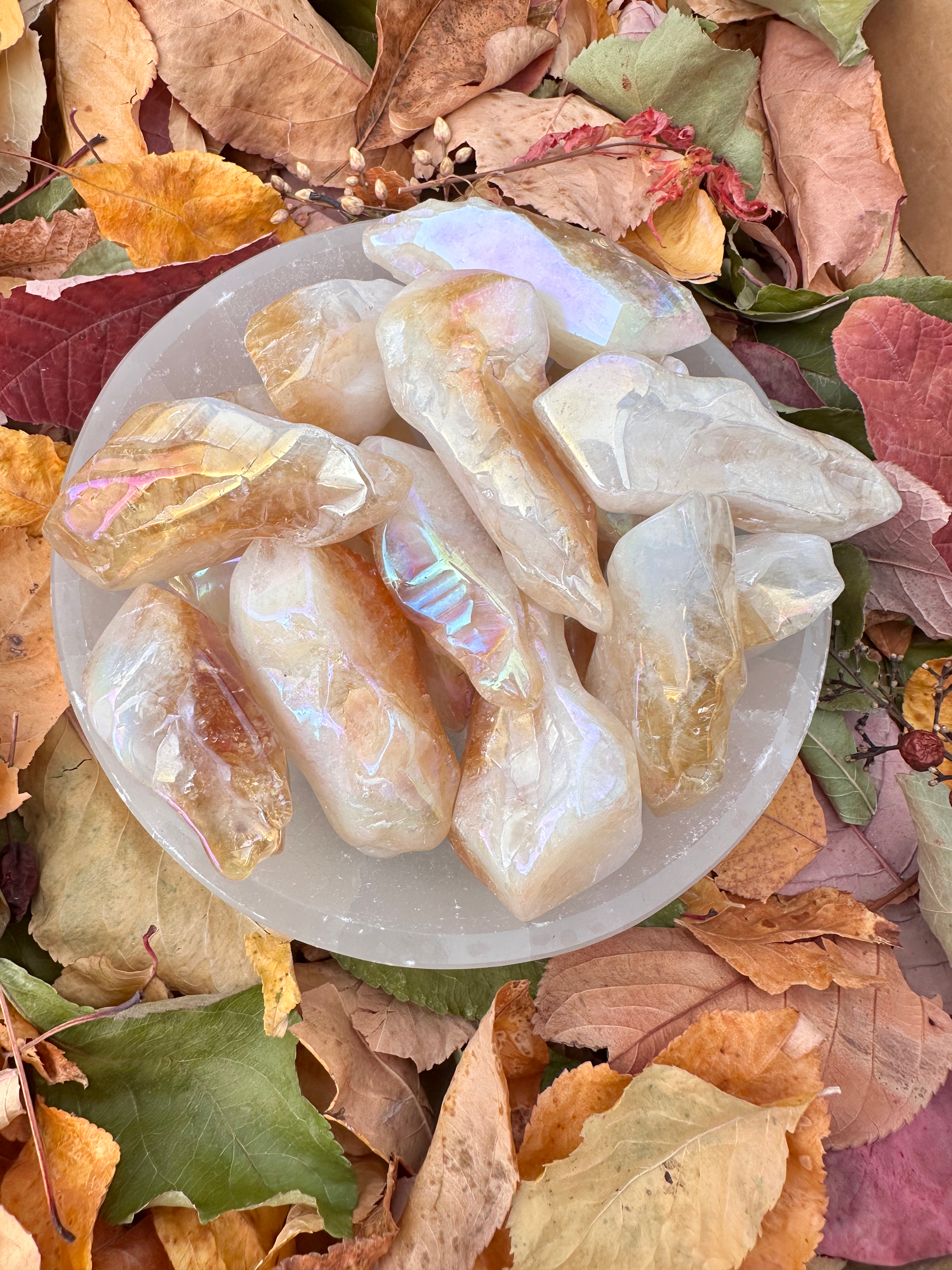 Angel Aura Citrine Large Points