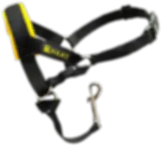 HEAT Leader Dog Head Collar