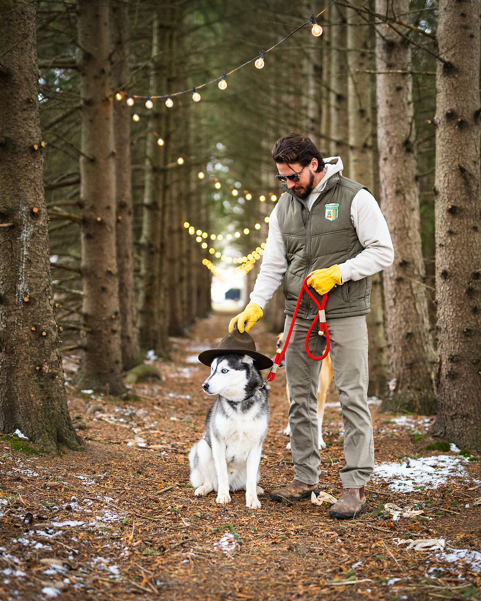 The Bark Ranger putting his hat on a white husky