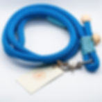 Thumbnail: Blue rope leash