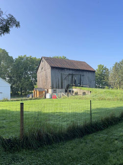 Dog pens with barn in the background