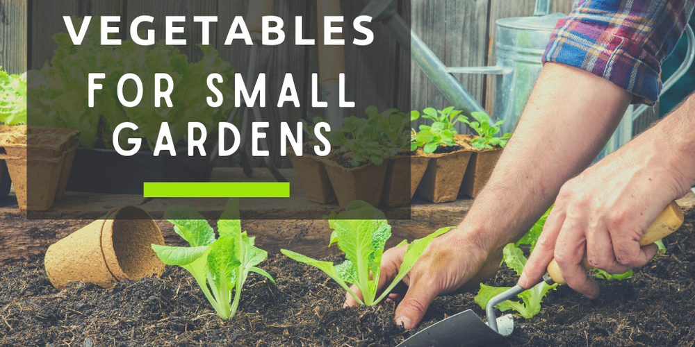 Vegetables For Small Gardens