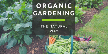 Organic Gardening