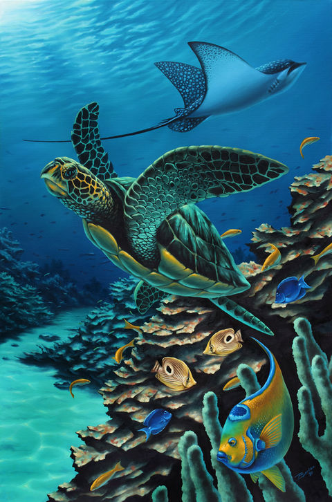 Underwater Flight