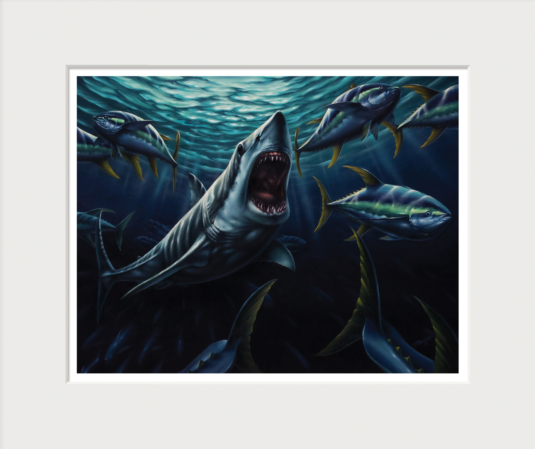 Out of the Shadows – Mako Shark Art Print