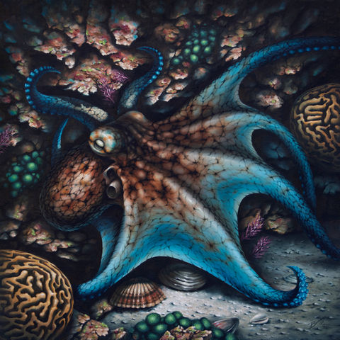 Caribbean Tangle: original oil painting of a Caribbean reef octopus
