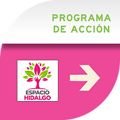 PROGRAMA DE ACCIÓN.png