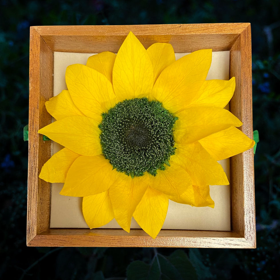 Thumbnail: Forever Sunflower in Mahogany Box