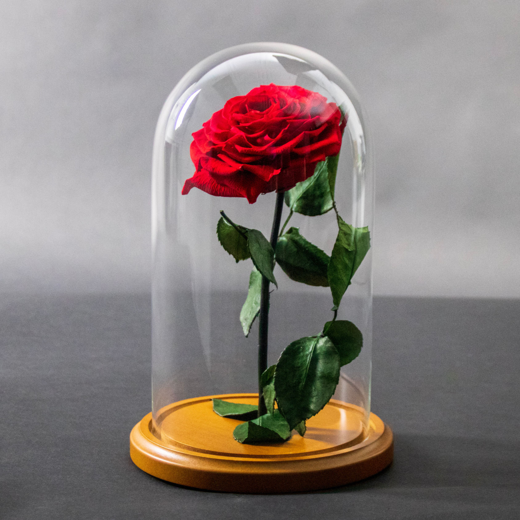 Beauty and the Beast Enchanted Rose in Dome