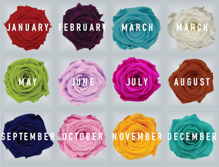 Rose Colors And Their Meaning - Gifts with Real Long-Lasting Roses