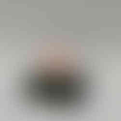 Forever Bloom Award - Rising Star