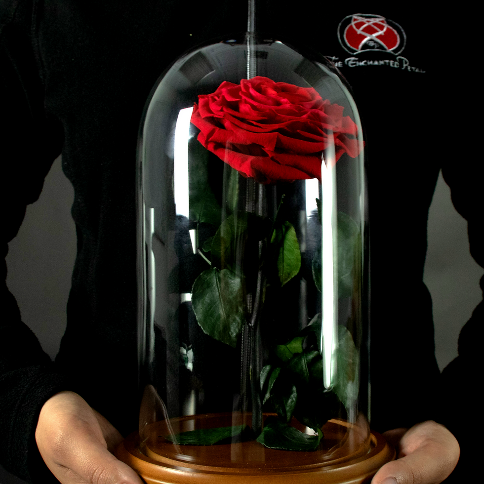 Thumbnail: Beauty and the Beast Forever Rose in a Glass Dome