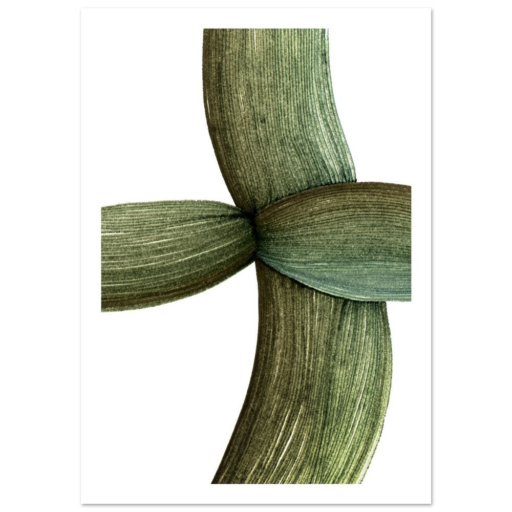 Fine Art Print Soft Exposure