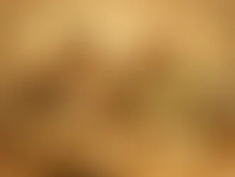 Prečo reporty ukazujú rozdielne čísla?