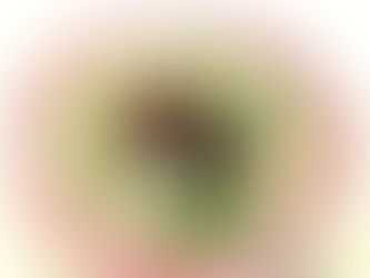 テスト対策に移ります!