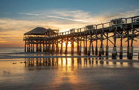 Copy of Valleri Ames Soft Arrival.jpg