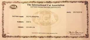 TICA-WUYILIANGPIN Cattery.jpg